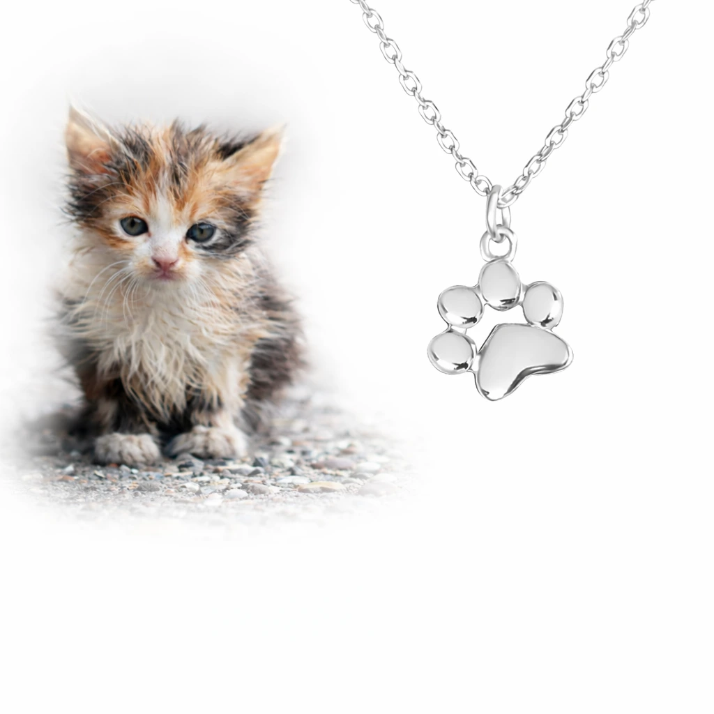 VERIŽICA VESELE TAČKE