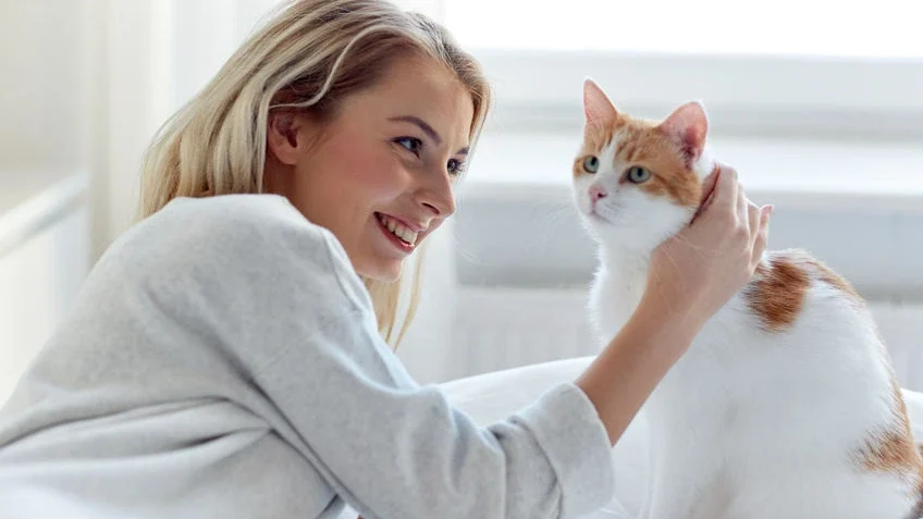 Lastnica boža svojega mačka z velikim veseljem.